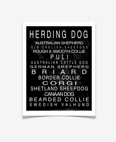 Herding Dog Art Print - Pet Art