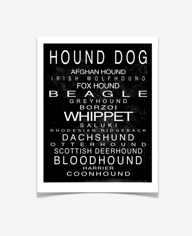 Hound Dog Art Print - Pet Poster