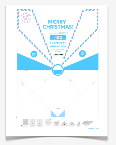 $100 Gift Certificate Plane (Print at Home) Any Occasion