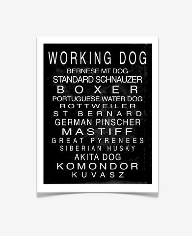 Working Dog Breed Art Print - Dog Art - Pet Prints